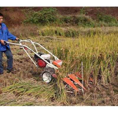 手推式玉米花生割曬機 汽油移動式水稻谷子收割機 農用秸稈放倒機