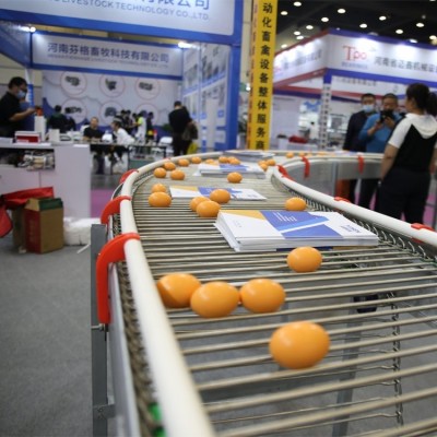 新型全自助階梯式四層蛋雞籠熱鍍鋅層疊式智能蛋雞籠養(yǎng)設(shè)備定制