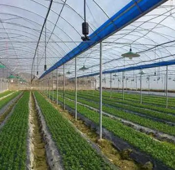 福州雨順灌溉設(shè)備廠家-福州果園自動(dòng)打藥設(shè)備（面議）